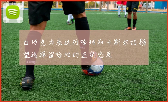 白巧克力表达对哈珀和卡斯尔的期望选择留哈珀的坚定态度
