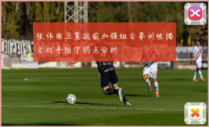 张伟丽卫冕战前加强组合拳训练揭示对手防守弱点分析